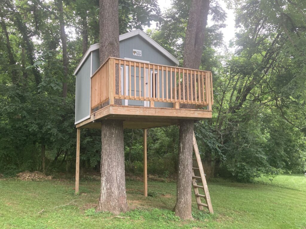 Backyard Treehouse